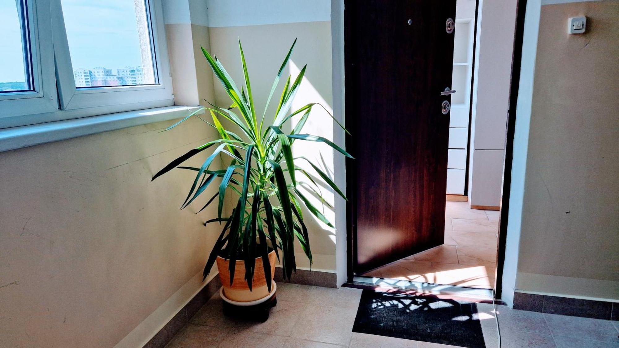 Meander Natolin Pokoje Blisko Metra Varsavia Esterno foto